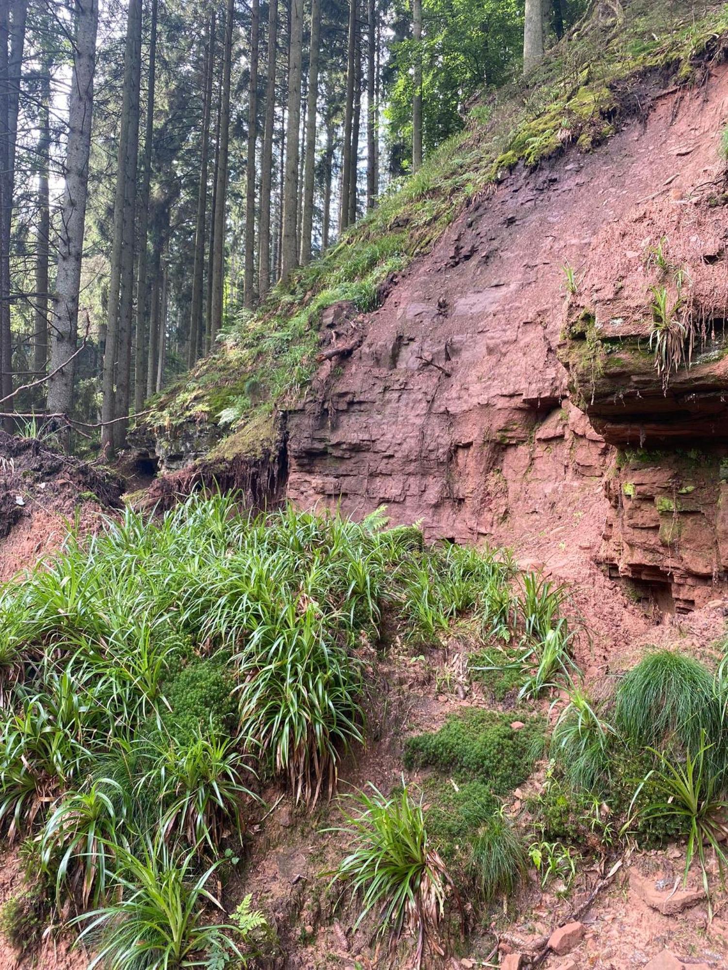 Ferienhaus Vulkaneifel Abtei Himmerod Großlittgen Dış mekan fotoğraf