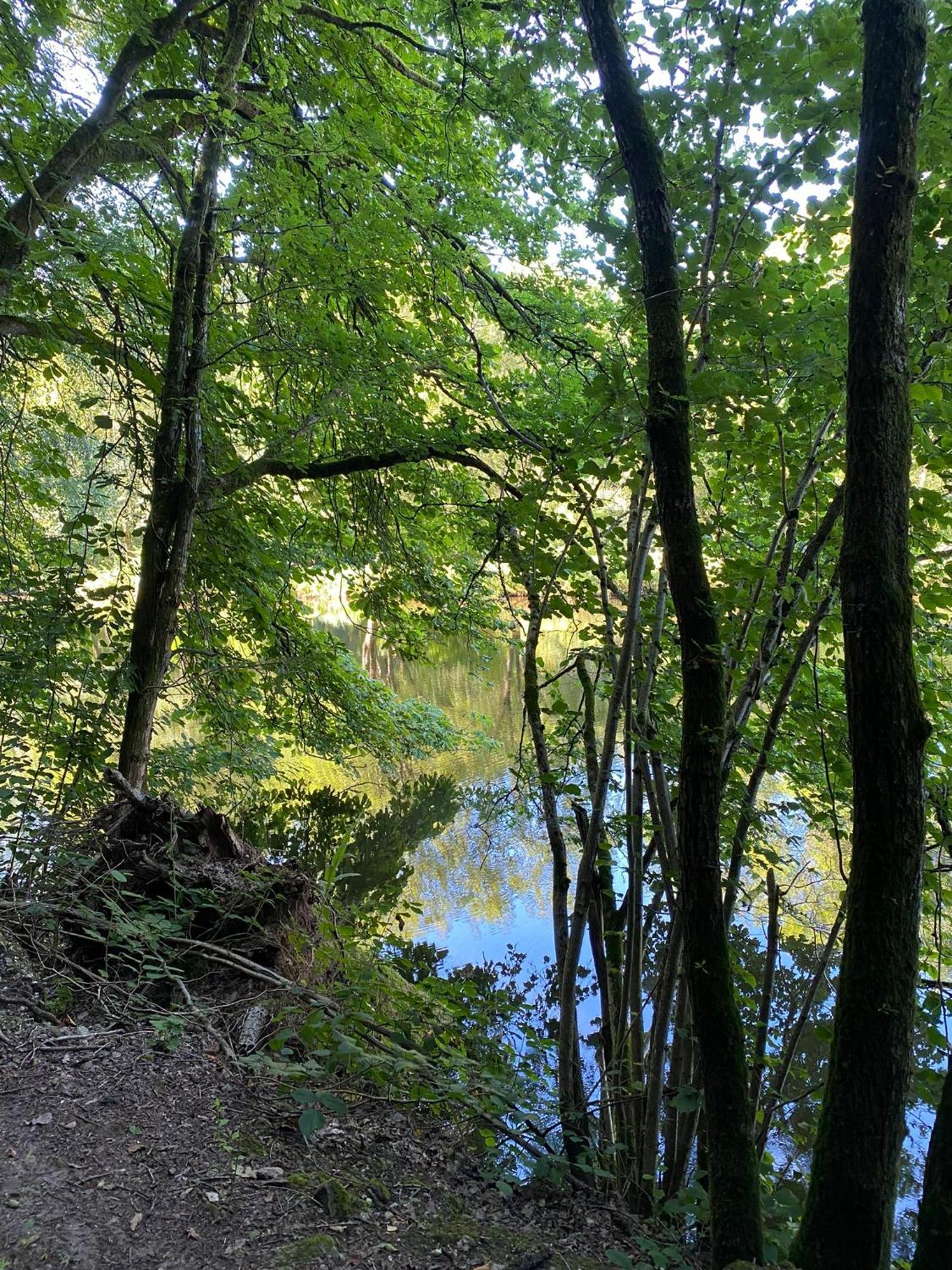 Ferienhaus Vulkaneifel Abtei Himmerod Großlittgen Dış mekan fotoğraf