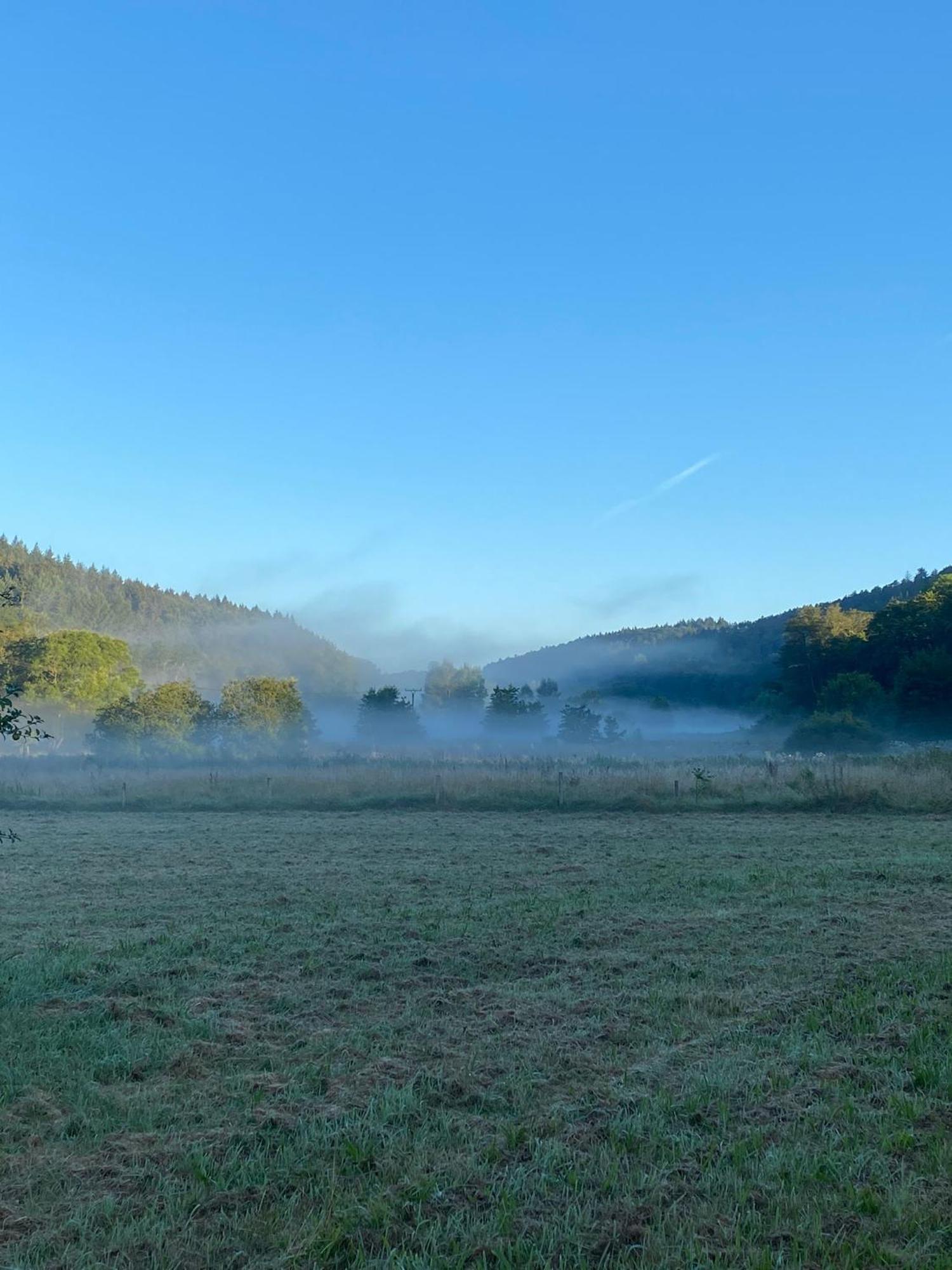 Ferienhaus Vulkaneifel Abtei Himmerod Großlittgen Dış mekan fotoğraf
