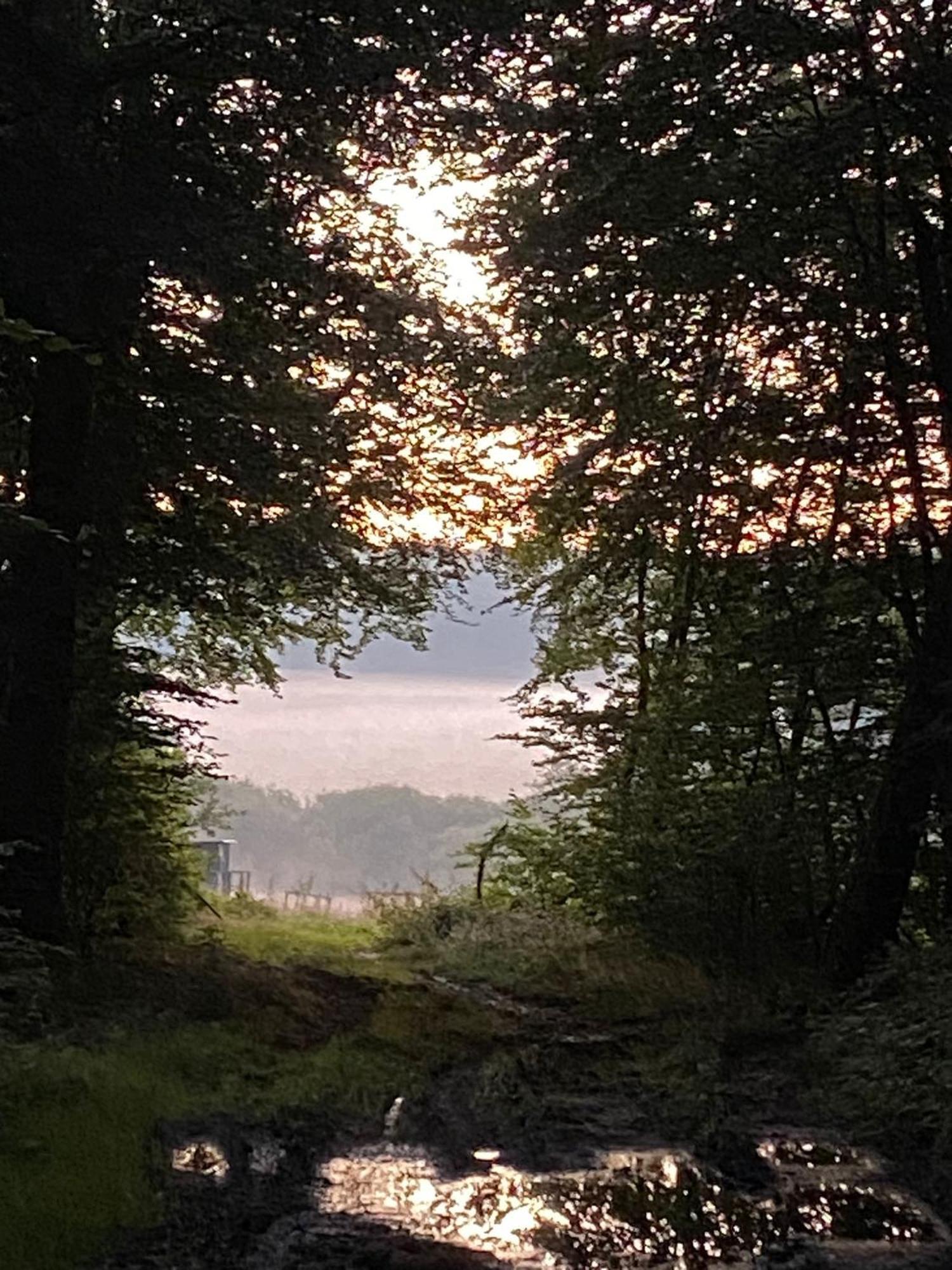 Ferienhaus Vulkaneifel Abtei Himmerod Großlittgen Dış mekan fotoğraf