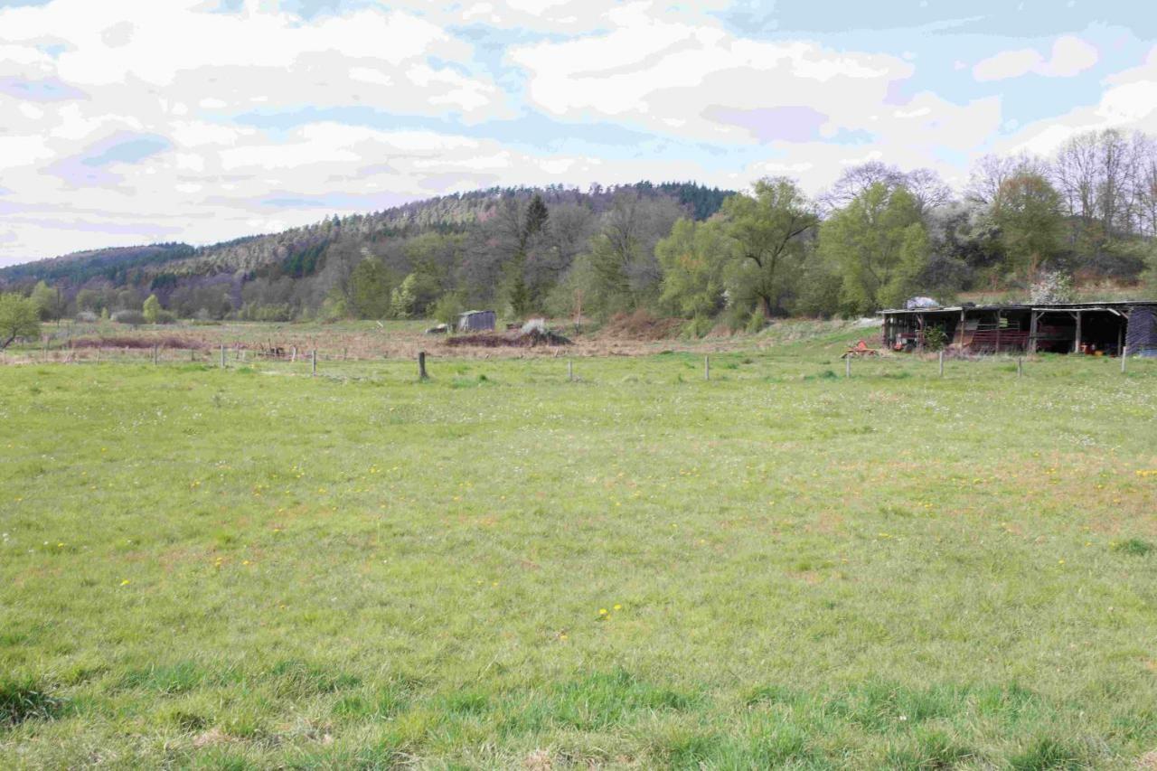 Ferienhaus Vulkaneifel Abtei Himmerod Großlittgen Dış mekan fotoğraf