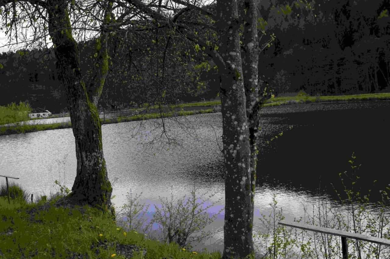 Ferienhaus Vulkaneifel Abtei Himmerod Großlittgen Dış mekan fotoğraf