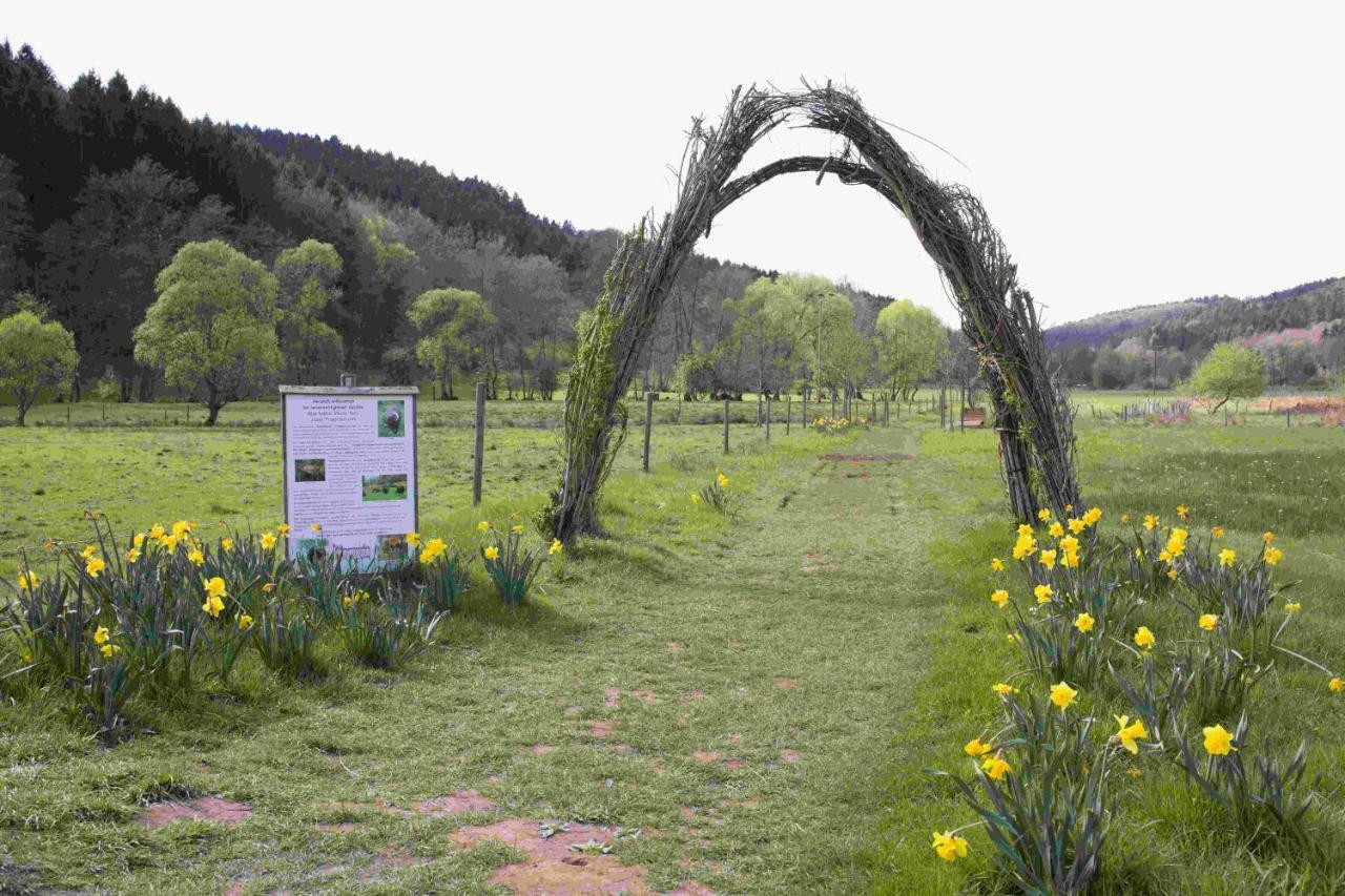 Ferienhaus Vulkaneifel Abtei Himmerod Großlittgen Dış mekan fotoğraf